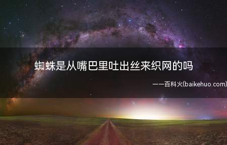 蜘蛛是从嘴巴里吐出丝来织网的吗(蜘蛛无复眼,头胸部有附肢6对)