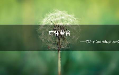 虚怀若谷(胸怀像山谷一样深广,形容十分谦虚,能容纳别人的意见)