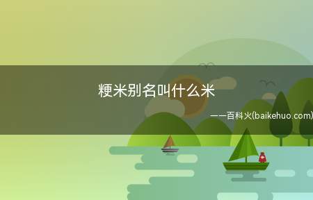 粳米别名叫什么米（粳米的营养丰富,是我们所熟悉的谷类之一）