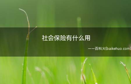 社会保险有什么用(社会保险的作用在于保障劳动者的合法权益)