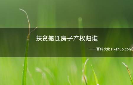 扶贫搬迁房子产权归谁(扶贫搬迁后政府会给搬迁人安排新的住房,原住房一般会收归国家或)