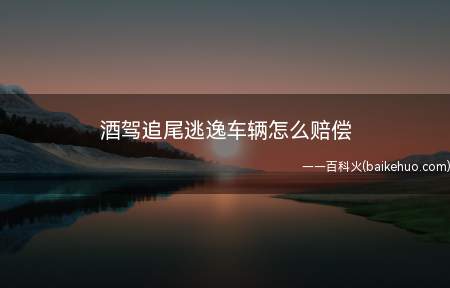 酒驾追尾逃逸车辆怎么赔偿(交通运输肇事后逃逸怎么赔偿)