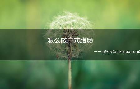 怎么做广式腊肠(怎么做腊肠 腊肠的方法)