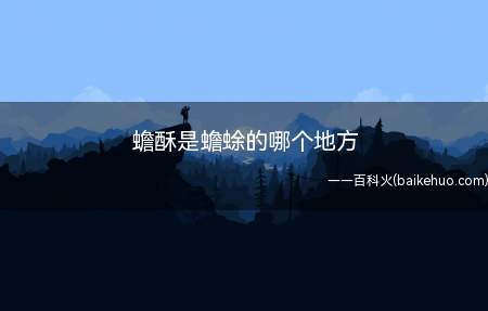 蟾酥是蟾蜍的哪个地方(蟾酥是中药材攻毒杀虫止痒药的一种)
