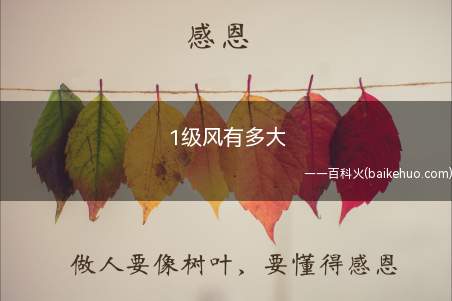 1级风有多大（1级风的单位用每秒多少米或每小时多少公里来表示）