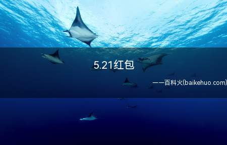 5.21红包(5)