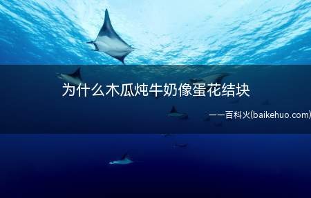 为什么木瓜炖牛奶像蛋花结块(牛奶炖木瓜是一道菜品,制作原料主要有牛奶、木瓜等,富有丰富的)