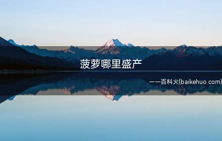 菠萝哪里盛产(世界约有61个国家和地区栽培菠萝)