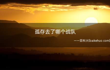 孤存去了哪个战队