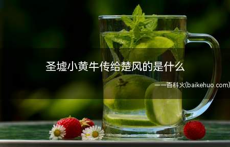 圣墟小黄牛传给楚风的是什么