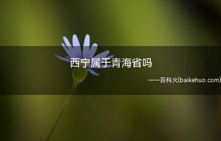 西宁属于青海省吗(西宁是青海省的省会,古称西平郡,青唐城,取西安宁之意)