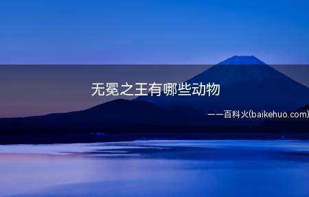 无冕之王有哪些动物(世界上唯一一种雌雄两态的猫科动物)