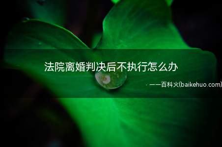法院离婚判决后不执行怎么办(当事人可以向人民法院申请执行吗)