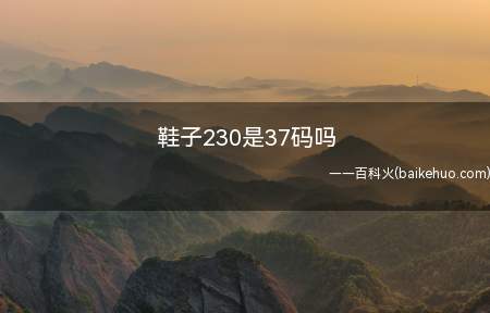 鞋子230是37码吗(230一般是36码的鞋子)