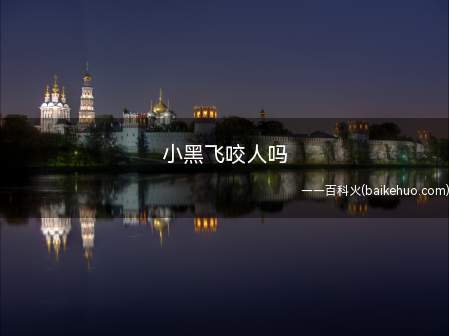 小黑飞咬人吗(小黑飞学名尖眼菌蚊。会咬人。)