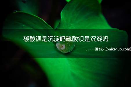 碳酸钡是沉淀吗硫酸钡是沉淀吗(硫酸钡在溶液中由钡离子与硫酸根离子反应生成的白色沉淀)