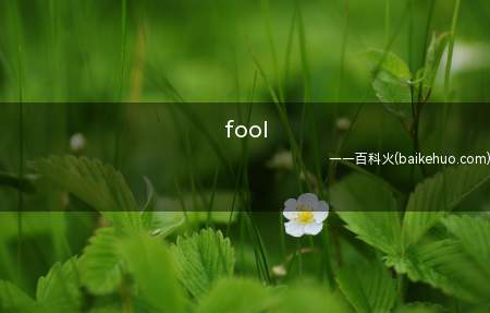 fool（常用释义n.傻子;弄臣;果泥adj.傻的v）