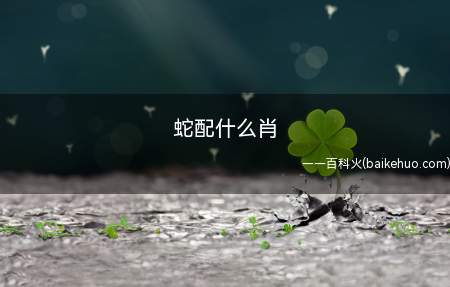 蛇配什么肖(属蛇人最好的伙伴是可靠的属牛人)