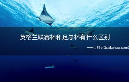 英格兰联赛杯和足总杯有什么区别(足总杯和英格兰联赛杯有什么区别)