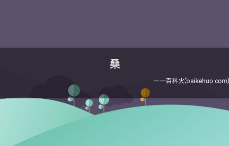 桑(“桑”是对人的一种敬称)