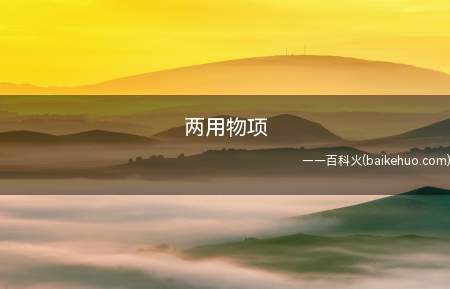 两用物项(“两用物项”是指军民两用的敏感物项和易制毒化学品)