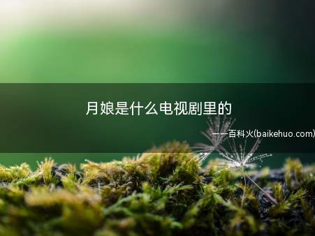 月娘是什么电视剧里的(《小娘惹》中的角色,菊香和山本洋介的女儿,由肖燕饰演)