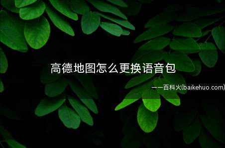 高德地图怎么更换语音包(高德地图语音导航更换方法)