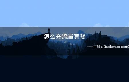 怎么充流量套餐(手机短信流量可以发送短信查询吗)