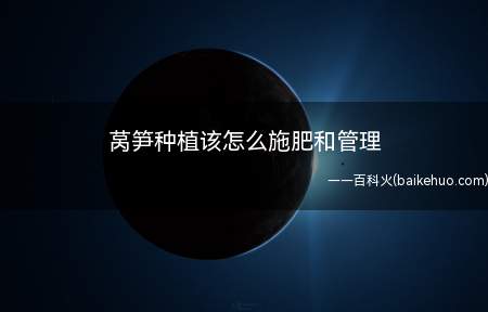 莴笋种植该怎么施肥和管理(定植前每亩施腐熟的有机肥)