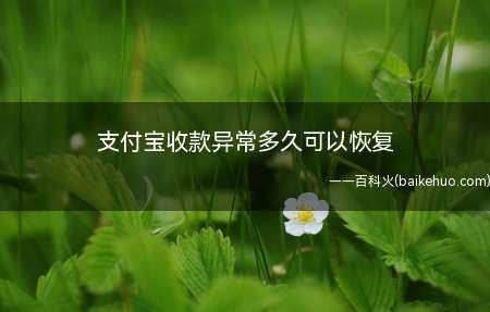 支付宝收款异常多久可以恢复（支付宝收款异常的恢复时间是不固定的）