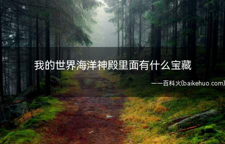 我的世界海洋神殿里面有什么宝藏(我的世界海洋神殿里面有什么)