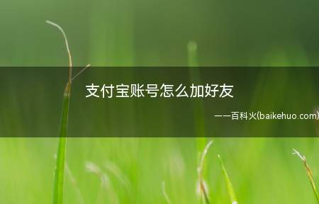 支付宝账号怎么加好友（支付宝怎么添加好友）