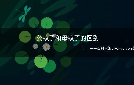 公蚊子和母蚊子的区别(公蚊子和母蚊子的区别是什么)