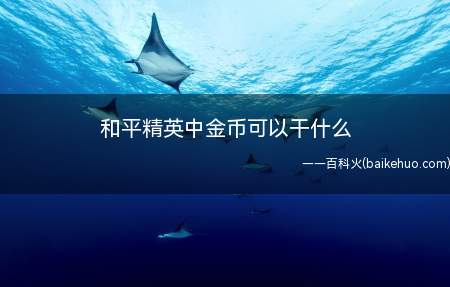 和平精英中金币可以干什么(从目前游戏中的情况来看金币只有购买军需宝箱这一种作用,而且仅)