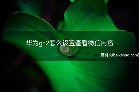 华为gt2怎么设置查看微信内容