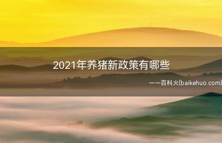 2021年养猪新政策有哪些(加快生猪生产恢复发展三年行动方案)