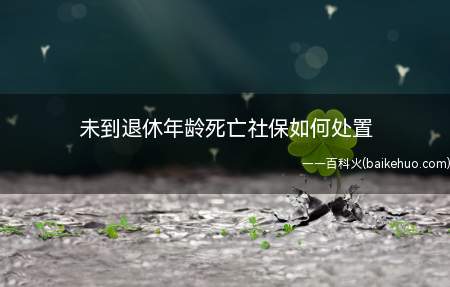 未到退休年龄死亡社保如何处置(未到退休年龄的人去世,养老缴费的个人部分及利息可以全额返还吗)