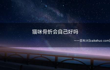 猫咪骨折会自己好吗(猫咪自愈能力很强,若只是轻微骨裂这类不严重的骨折)