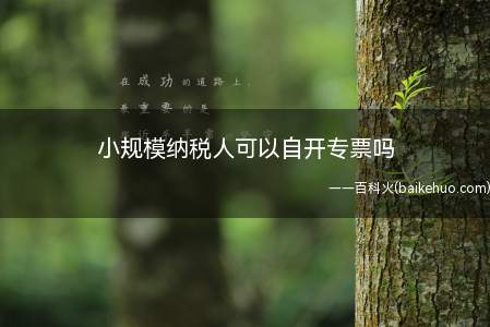 小规模纳税人可以自开专票吗(小规模纳税人可以开专票吗)
