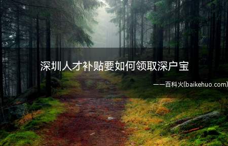 深圳人才补贴要如何领取深户宝(深户宝分享深户领取补贴流程)