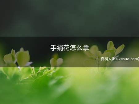 手绢花怎么拿(到底手绢花怎么拿才是正确的)
