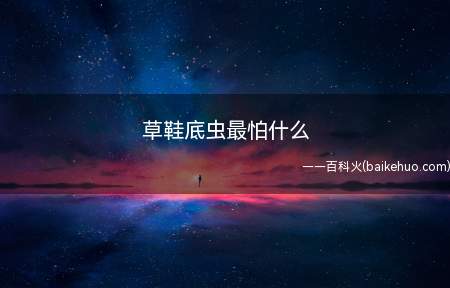 草鞋底虫最怕什么(草鞋底虫最怕敌百虫粉剂、杀虫涂料、灭害灵等这些卫生喷射剂)