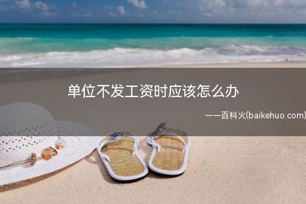 单位不发工资时应该怎么办(单位不发工资:(1)劳动者可以向有管辖权的仲裁委员会申请劳动)