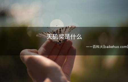 天矶奖是什么(硬性专业数据指标 专业评审 微信投票)