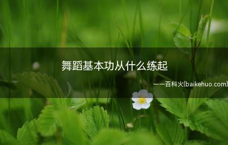 舞蹈基本功从什么练起（舞蹈基本功一般需要从软开度训练开始）