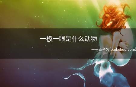 一板一眼是什么动物(一板一眼是马,马科马属草食性动物)