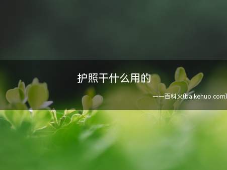 护照干什么用的(护照持有人可以按照规定换发或者补发护照吗)