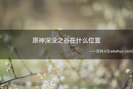 原神深没之谷在什么位置(原神1)