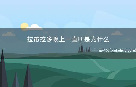 拉布拉多晚上一直叫是为什么(拉布拉多白天没有吃饱,晚上就会一直叫,主人可以每天定量地给狗)