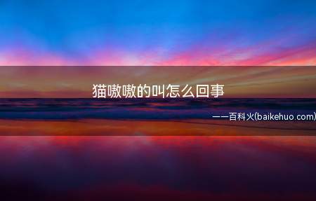 猫嗷嗷的叫怎么回事(如何判断是不是母猫发情了)
